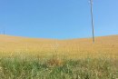 La Toscana e i suoi “fanghi”