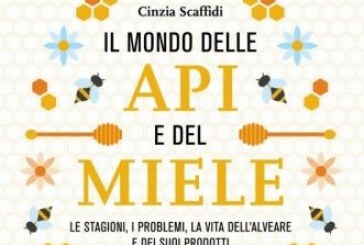 Il mondo delle api e del miele
