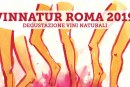 VinNatur Roma 2019 / 23-24 febbraio