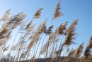 Il respiro della terra