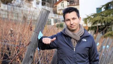 l'enologo trentino Nicola Biasi premiato a Merano per il "Vin de la Neu" 2019.