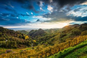 La Federazione Europea Vini DOP IGP si schiera con l'Italia per tutelare il Prosecco