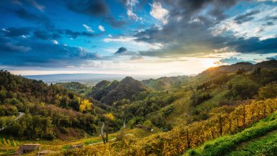 La Federazione Europea Vini DOP IGP si schiera con l'Italia per tutelare il Prosecco