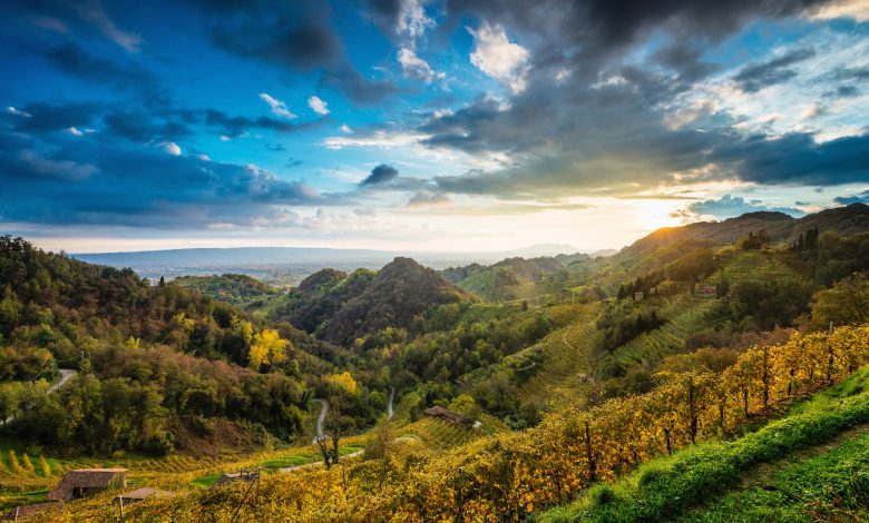 La Federazione Europea Vini DOP IGP si schiera con l'Italia per tutelare il Prosecco