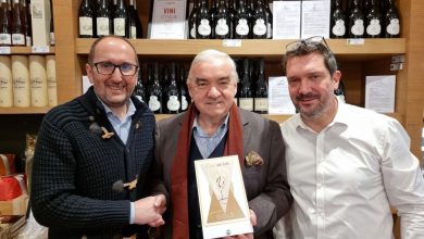 Toblino: la Nosiola da cenerentola a principessa delle Dolomiti