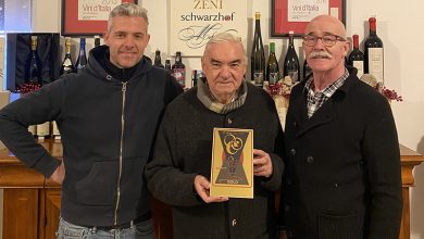 Maso Nero Blanc de Noirs 2016 dell'azienda Zeni