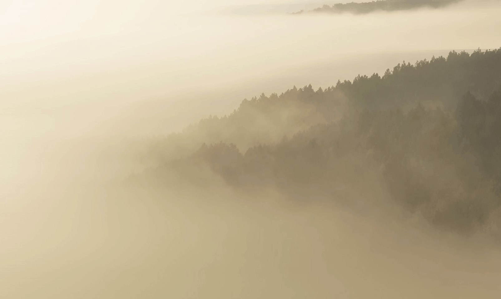 La nebbia agli irti colli piovigginando sale