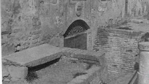 Venezia capitale mondiale della cultura del vitigno Malvasia