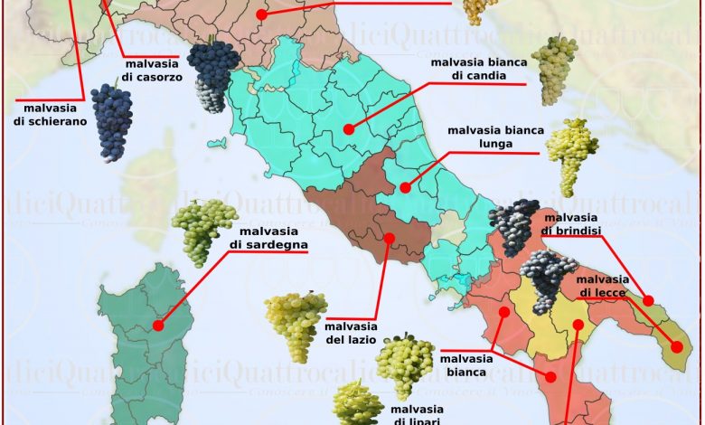 Venezia capitale mondiale della cultura del vitigno Malvasia