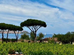 Tenuta la Chiusa Elba