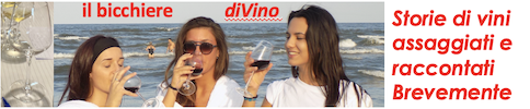 Bicchiere di vino