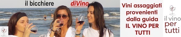 Bicchiere di vino